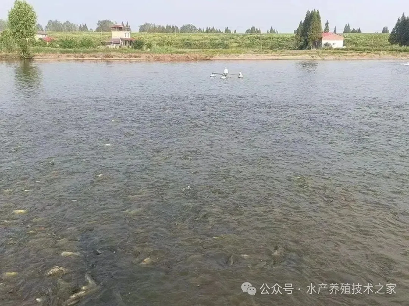 1760972625175551.png 640 (8).png