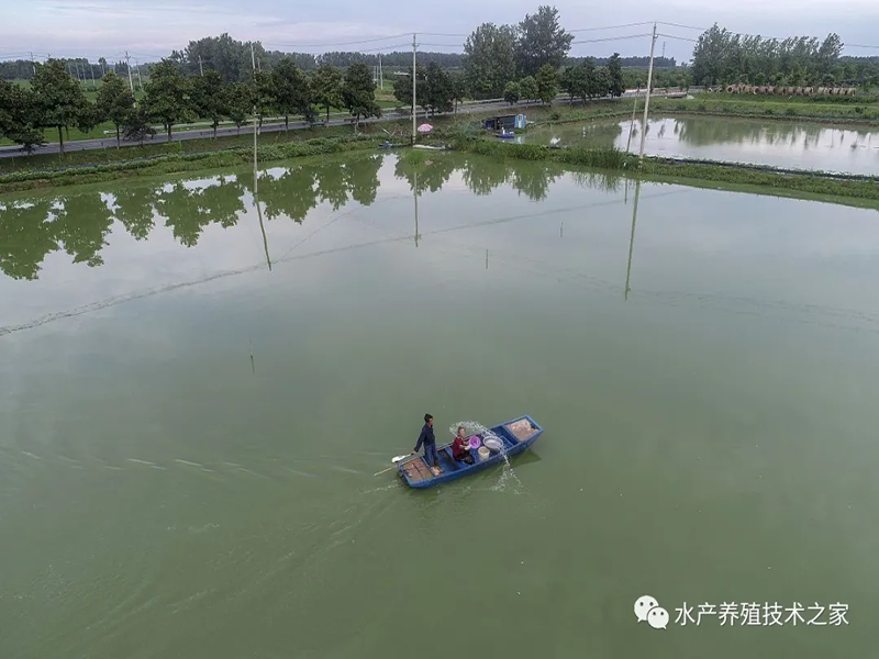 1760974457407203.png 640 (10).png