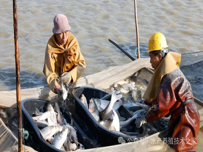 1760976195118654.png 1760976195118654.png